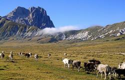 7-day Authentic E-Cycling, Walking, Cultural and Culinary Tours in Abruzzo with Italia Sweet Italia 1